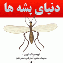 اسرار جالب از دنیای پشه ها