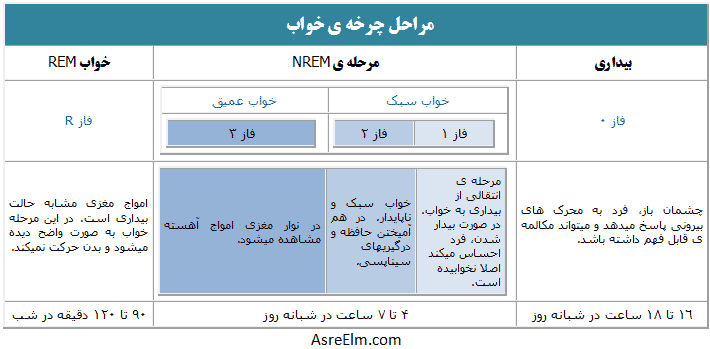 مراحل چرخه ی خواب