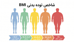 فرمول و فرم محاسبه bmi (شاخص حجم بدن)