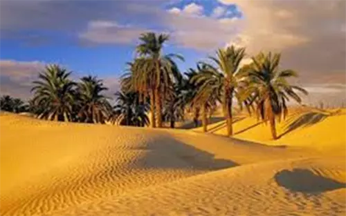 جاذبه های گردشگری طبس